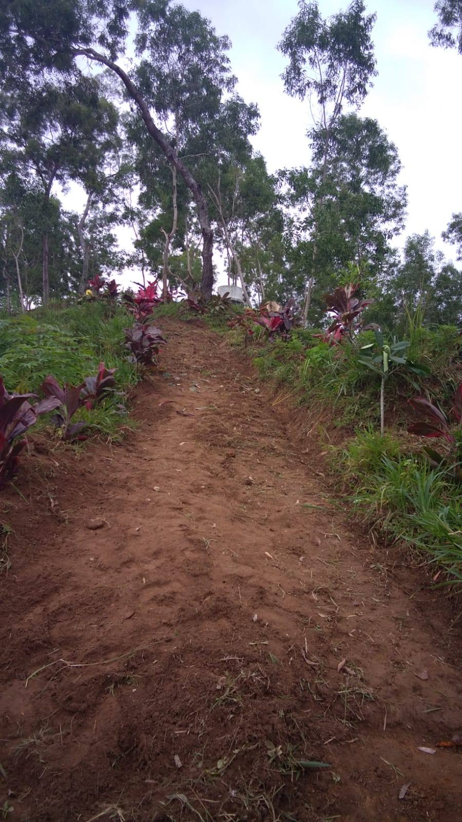 Membumikan Memayu Hayuning Bawana Dalam Kehidupan